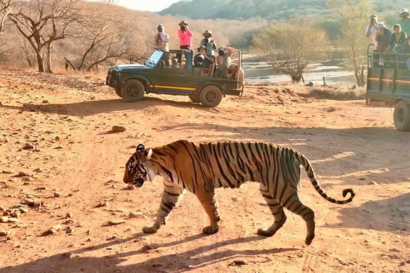Ranthambore Tour Package